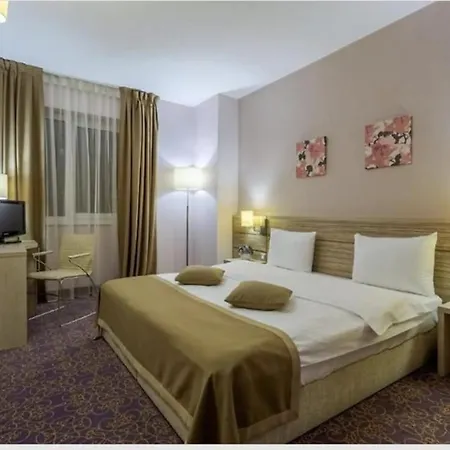 Rin Adam Bucharest